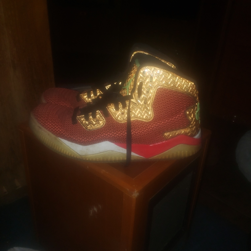 Nike Spike Lee Air Jordans